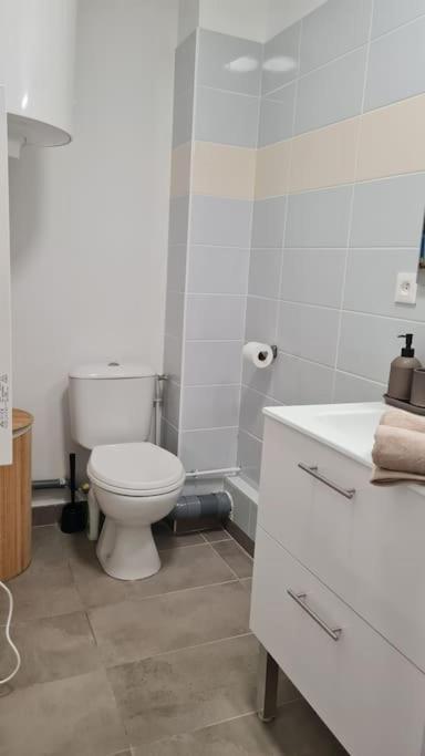 דירות Le Green Parc, Libourne Hypercentre, Netflix, Clim מראה חיצוני תמונה